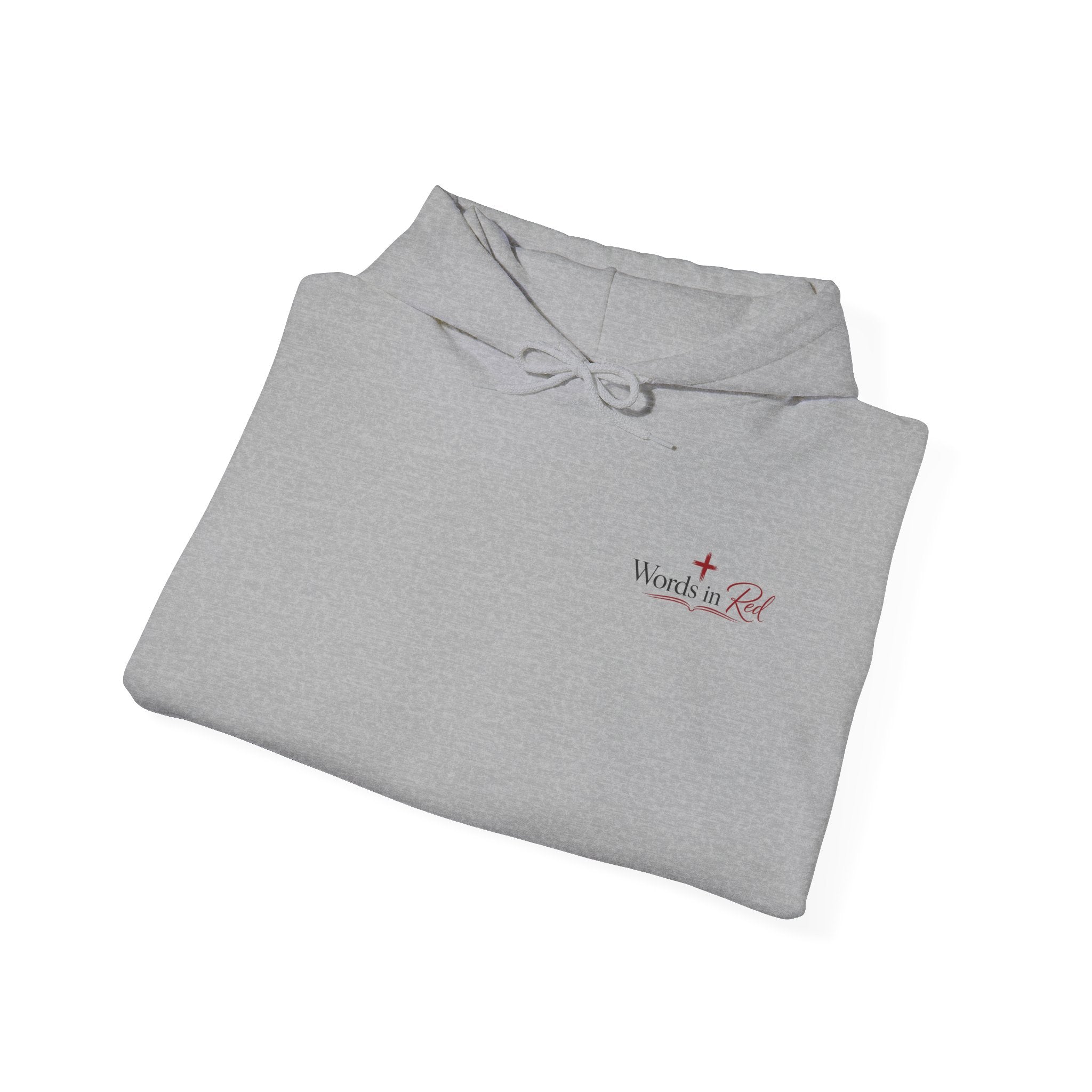 Words in Red Hoodie — Faith Script "I am the way the truth and the life" John 14:6