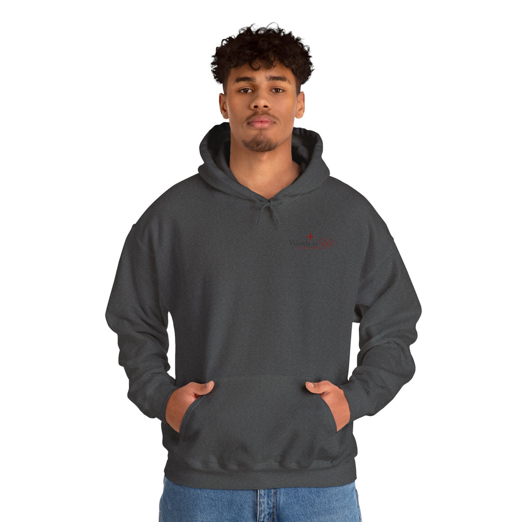 Words in Red Hoodie — Faith Script "I am the way the truth and the life" John 14:6