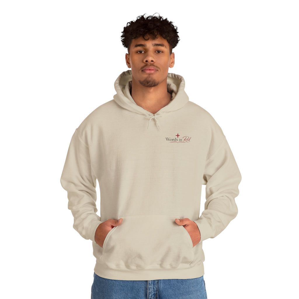Words in Red Hoodie — Faith Script "I am the way the truth and the life" John 14:6