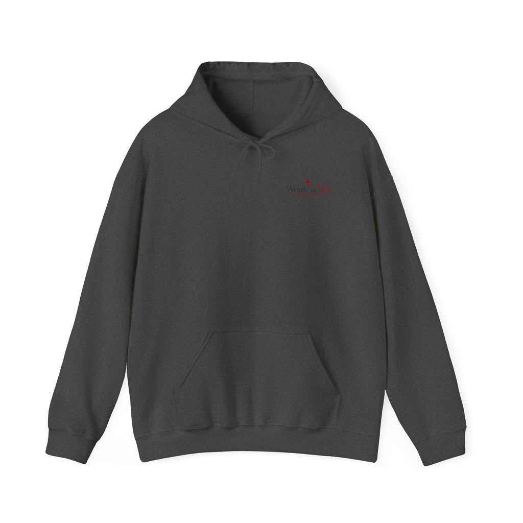 Words in Red Hoodie — Faith Script "I am the way the truth and the life" John 14:6