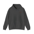 Words in Red Hoodie — Faith Script "I am the way the truth and the life" John 14:6