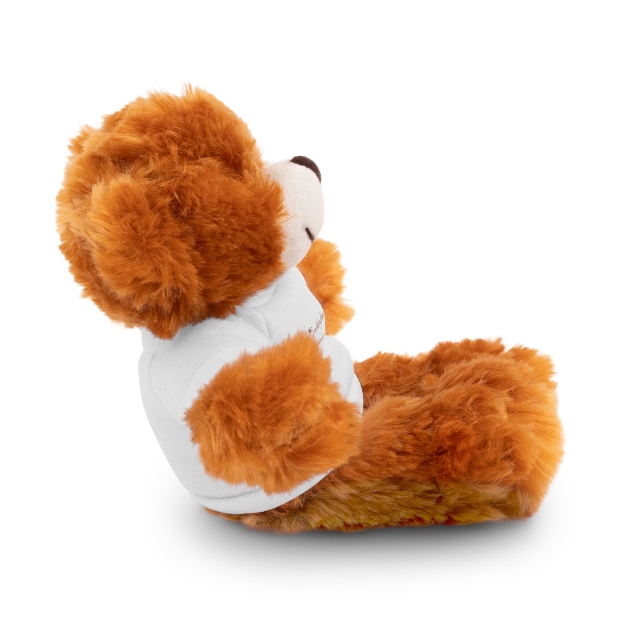 Plush Bear with “I am with you always.” — Matthew 28:20 Custom Tee – Soft Brown Teddy Gift