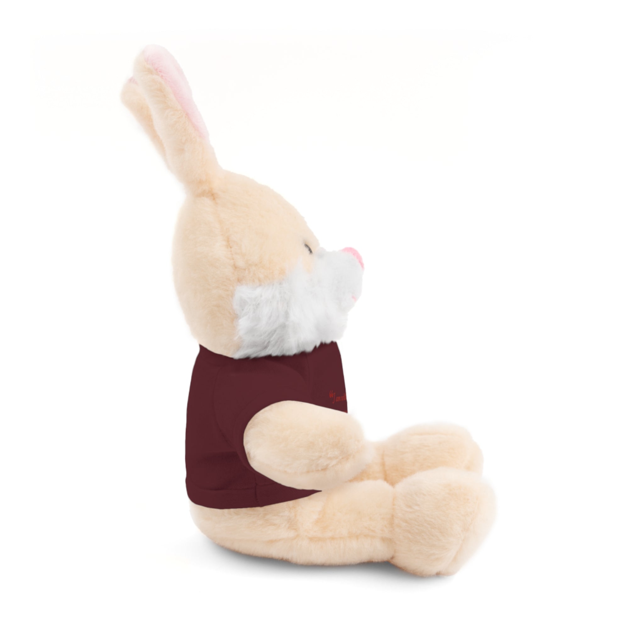 Plush Bear with “I am with you always.” — Matthew 28:20 Custom Tee – Soft Brown Teddy Gift